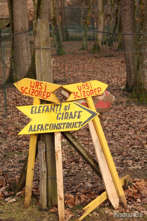 Gradina Zoologica Targu Mures | 4